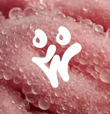 cafe visual branding